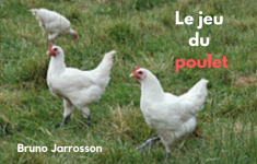 Poulet