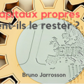 Capitaux propres